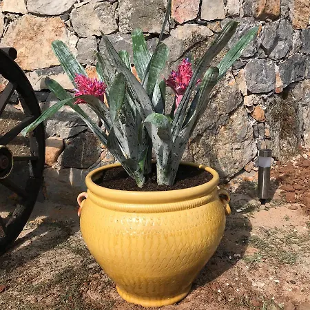 Moradia Rural De Charme Agradável E Acolhedora