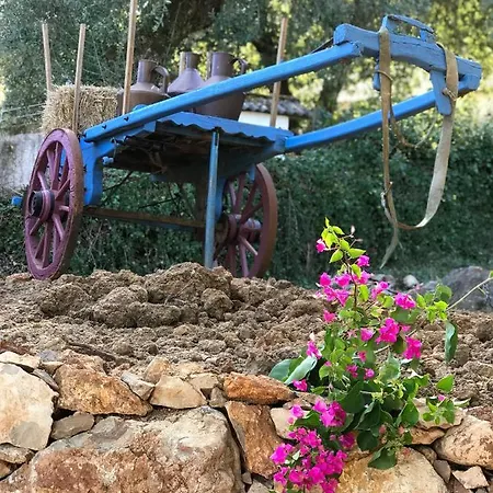 Moradia Rural De Charme Agradável E Acolhedora Casa de Férias Arrimal