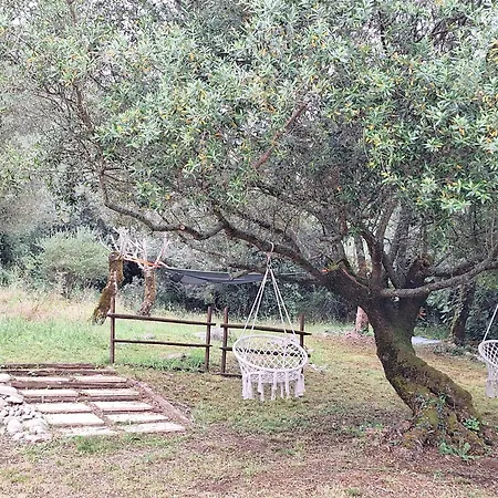 Moradia Rural De Charme Agradável E Acolhedora * Arrimal
