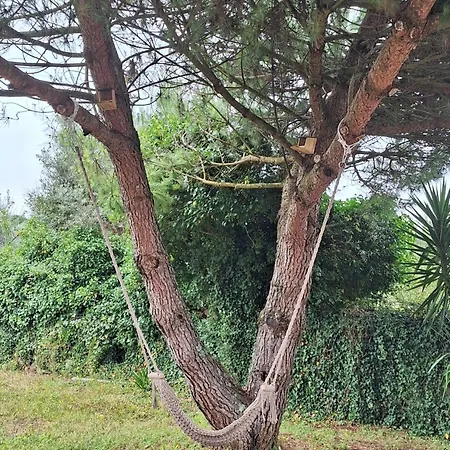 Casal Nogueiras, De Charme Agradaveis E Acolhedoras بيت للعطل Arrimal