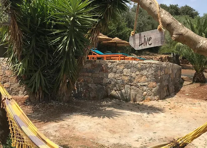 Casal Nogueiras, De Charme Agradaveis E Acolhedoras * Arrimal