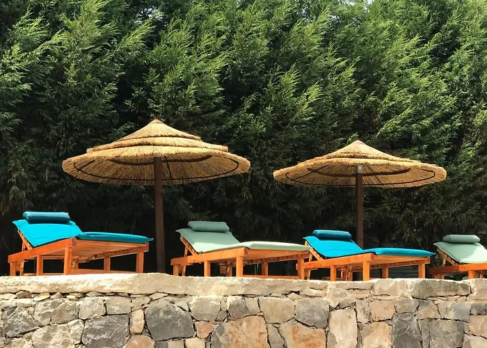 Casal Nogueiras, De Charme Agradaveis E Acolhedoras